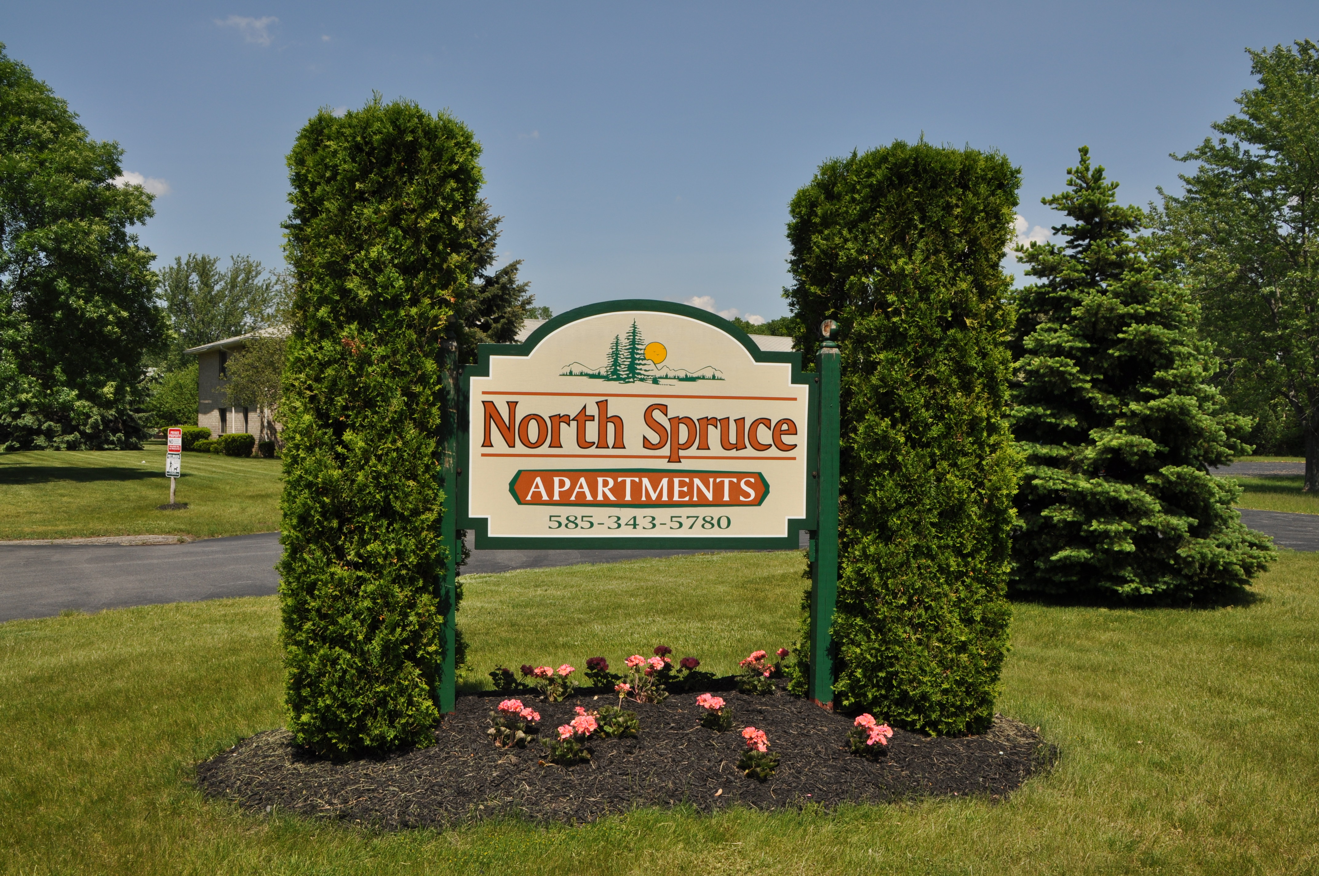 North Spruce